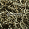 Image of Silver Sprout Green Tea (2 Pounds)