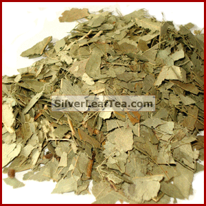 Eucalyptus Leaves Tea (2 Pounds)